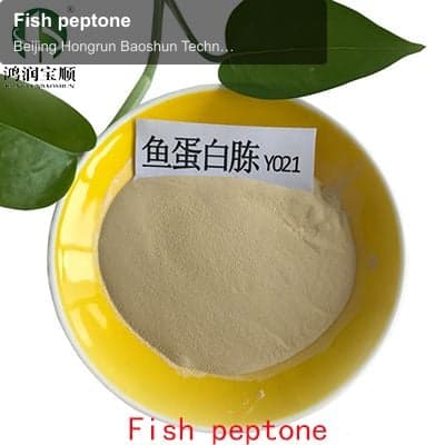 Fish peptone