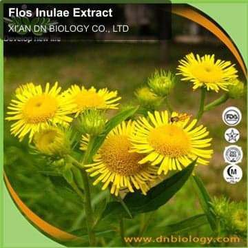 Flos Inulae Extract