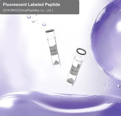 Fluorescent Labeled Peptide