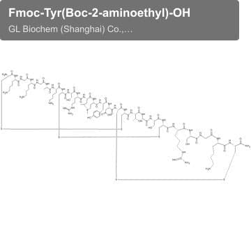 Fmoc-Tyr(Boc-2-aminoethyl)-OH