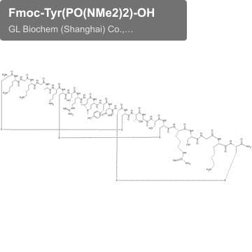 Fmoc-Tyr(PO(NMe2)2)-OH