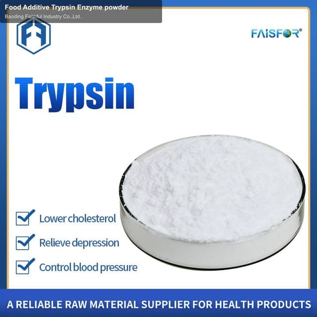 Food Additive Trypsin Enzyme powder
