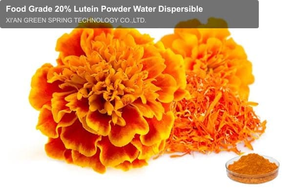Food Grade 20% Lutein Powder Water Dispersible