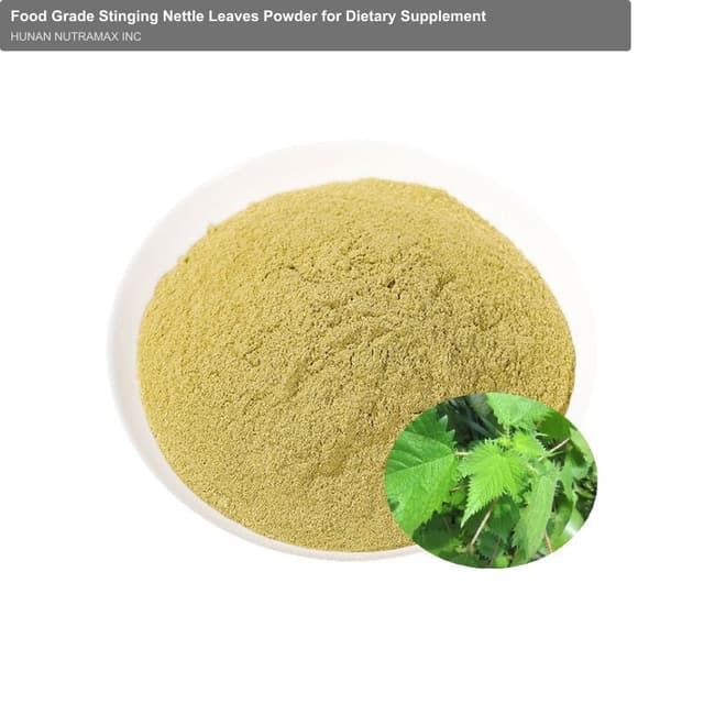 Food Grade Stinging Nettle Leaves Powder for Dietary Supplement
