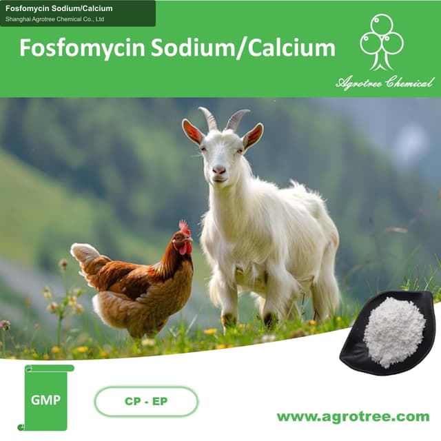 Fosfomycin Sodium/Calcium