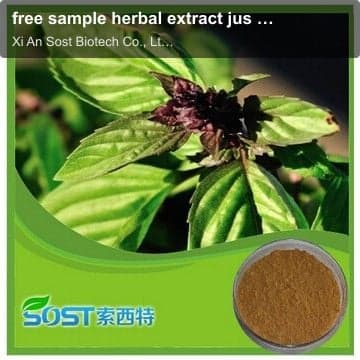 free sample herbal extract jus cool basil seed drink