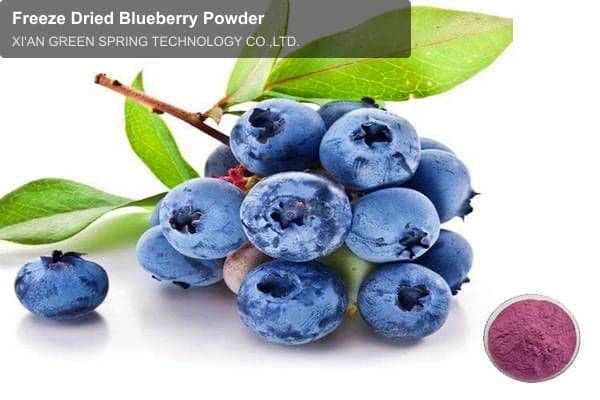 Freeze Dried Blueberry Powder