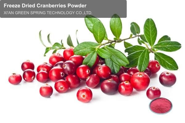 Freeze Dried Cranberries Powder