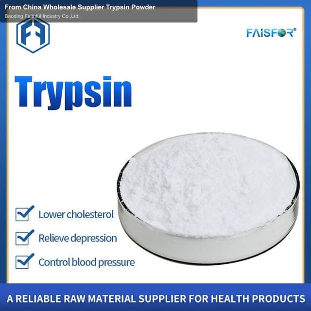 From China Wholesale Supplier Trypsin Powder