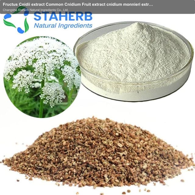 Fructus Cnidii extract Common Cnidium Fruit extract cnidium monnieri extract Cnidi Fructus extract