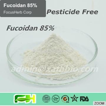 Fucoidan 85%