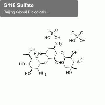 G418 Sulfate