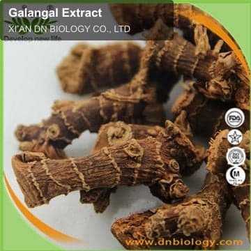 Galangal Extract