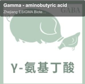 Gamma - aminobutyric acid