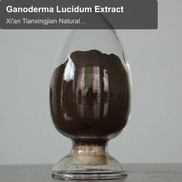 Ganoderma Lucidum Extract