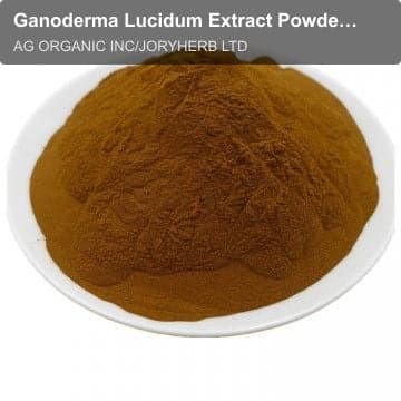 Ganoderma Lucidum Extract Powder 40%