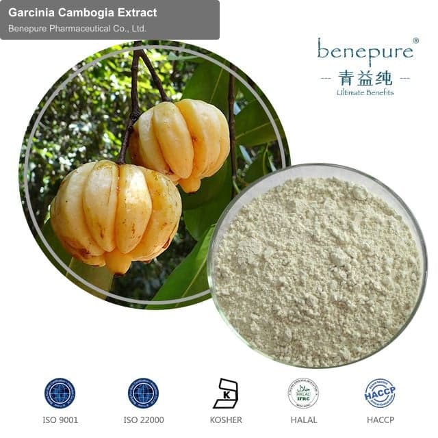 Garcinia Cambogia Extract