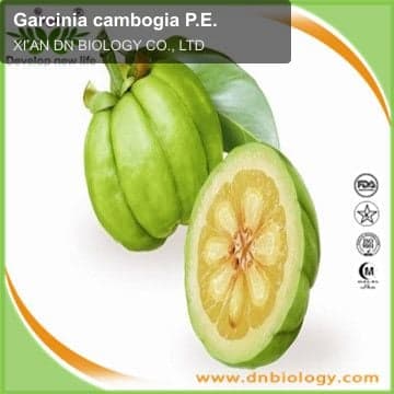 Garcinia cambogia P.E.