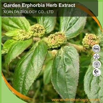Garden Erphorbia Herb Extract