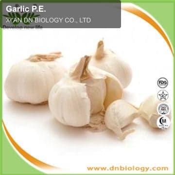 Garlic P.E.