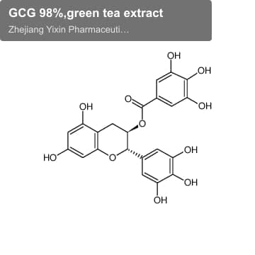 GCG 98%,green tea extract