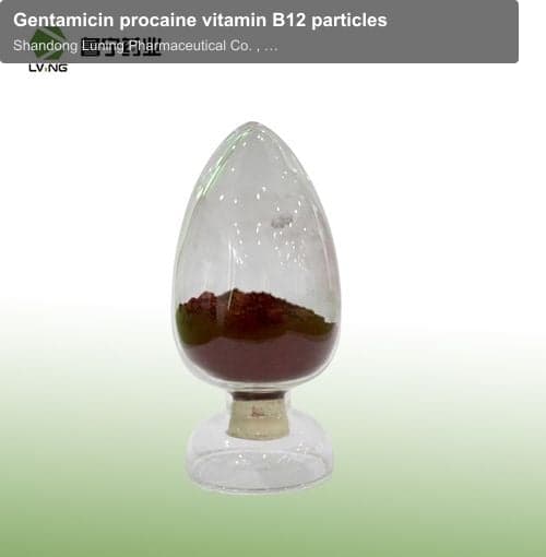 Gentamicin procaine vitamin B12 particles