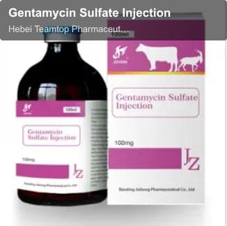 Gentamycin Sulfate Injection