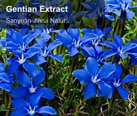 Gentian Extract