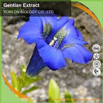 Gentian Extract