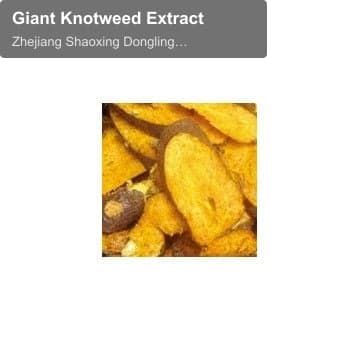 Giant Knotweed Extract