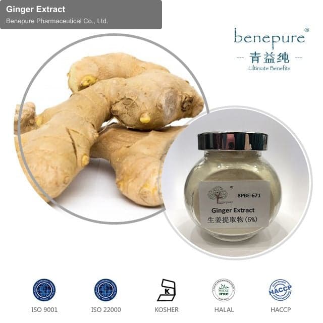 Ginger Extract