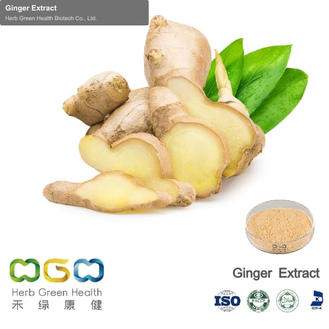 Ginger Extract