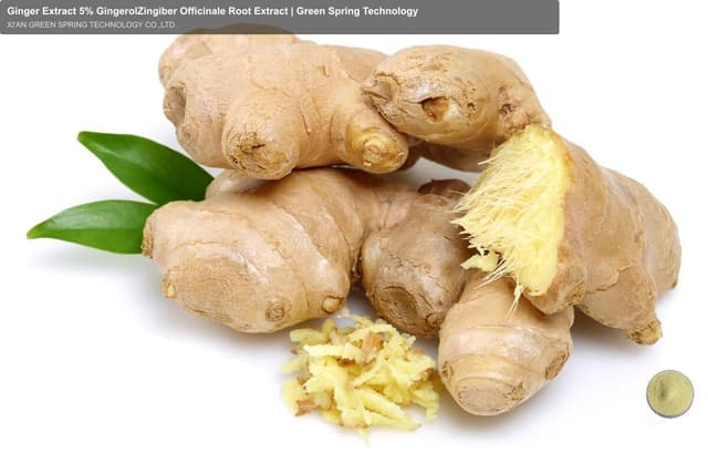 Ginger Extract 5% GingerolZingiber Officinale Root Extract | Green Spring Technology
