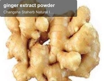 ginger extract powder
