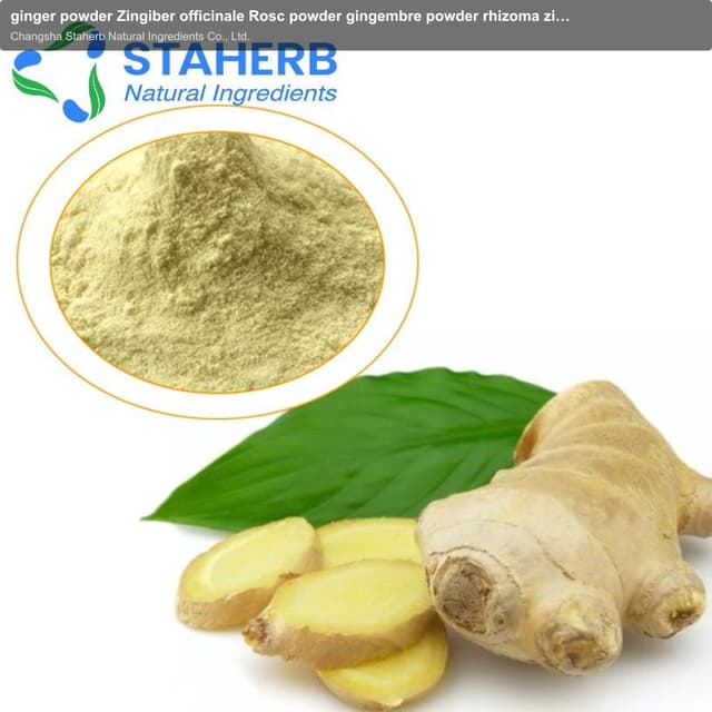 ginger powder Zingiber officinale Rosc powder gingembre powder rhizoma zingiberis recens powder