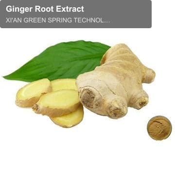 Ginger Root Extract