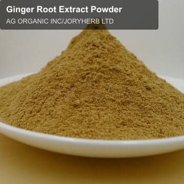 Ginger Root Extract Powder