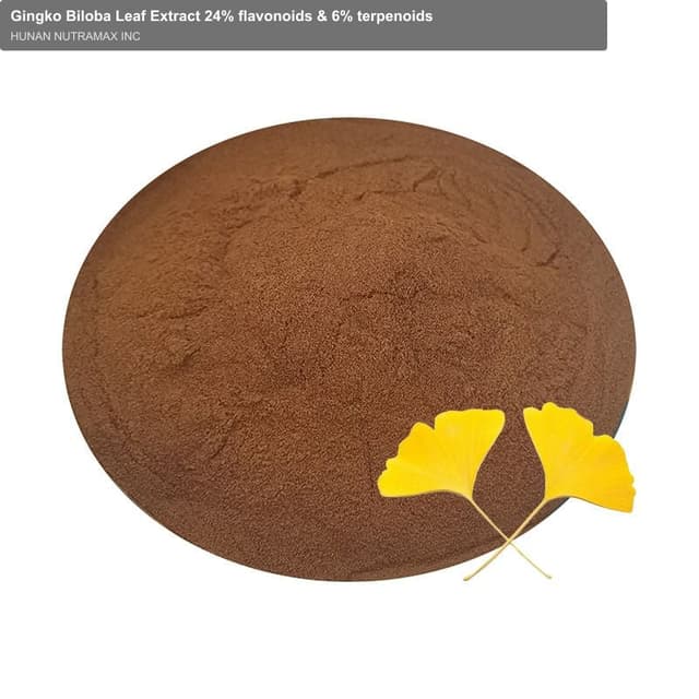 Gingko Biloba Leaf Extract 24% flavonoids & 6% terpenoids