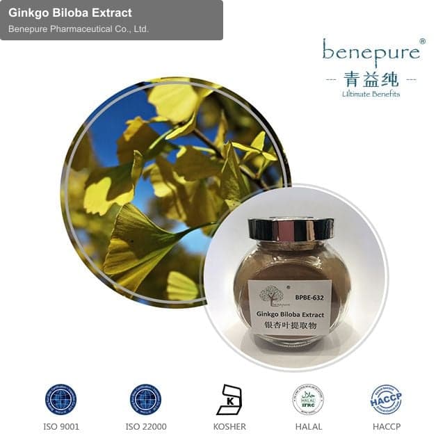Ginkgo Biloba Extract