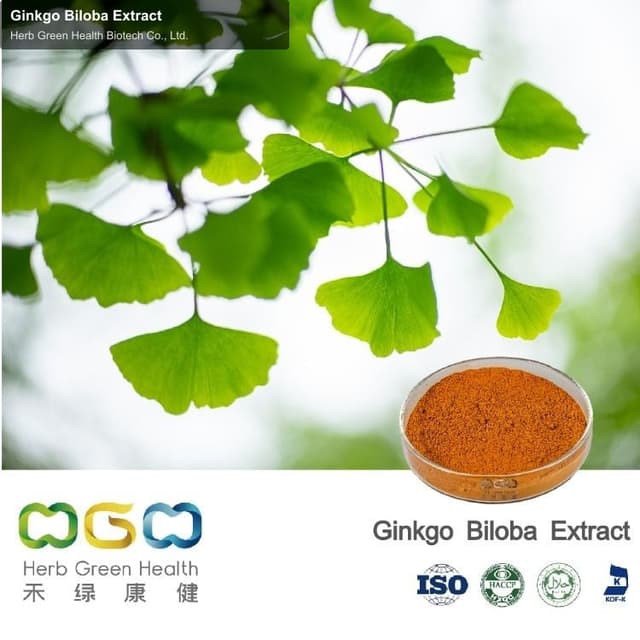 Ginkgo Biloba Extract