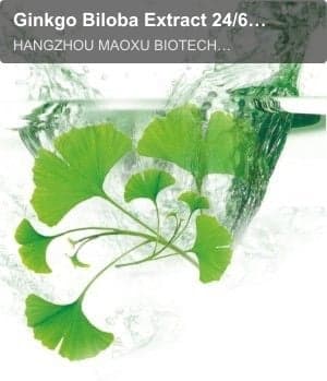 Ginkgo Biloba Extract 24/6/5