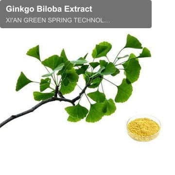 Ginkgo Biloba Extract