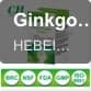 Ginkgo Biloba extract complex softgel