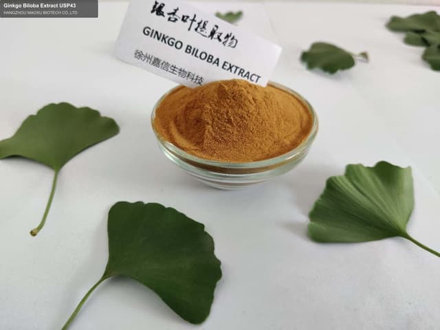 Ginkgo Biloba Extract USP43