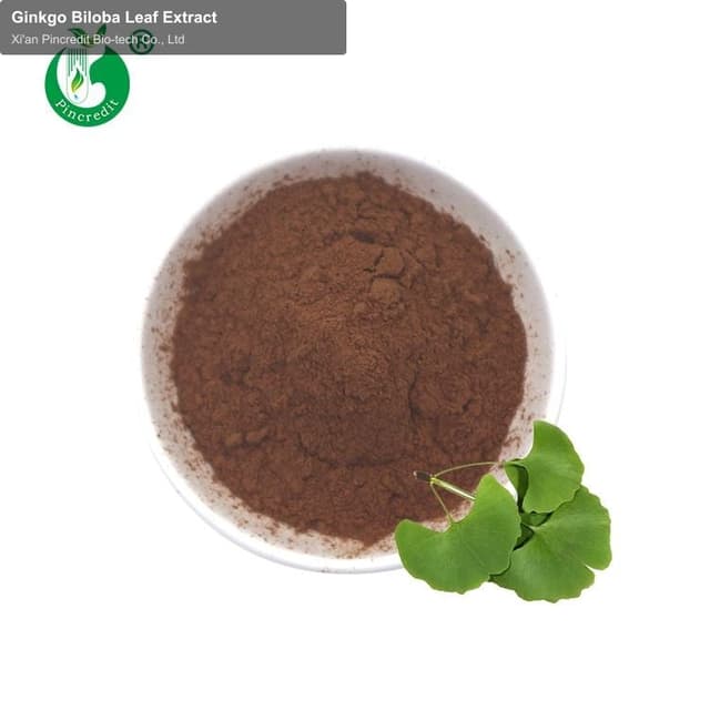 Ginkgo Biloba Leaf Extract