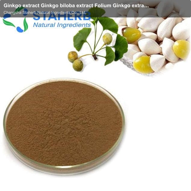 Ginkgo extract Ginkgo biloba extract Folium Ginkgo extract GINKGO FOLIUM extractGinkgo biloba flavon