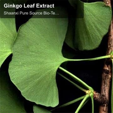 Ginkgo Leaf Extract