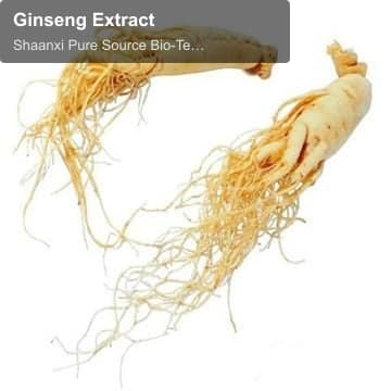Ginseng Extract