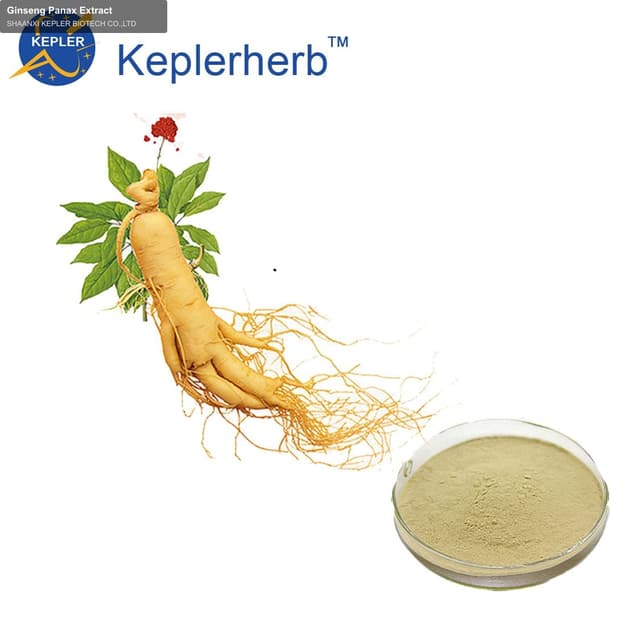Ginseng Panax Extract