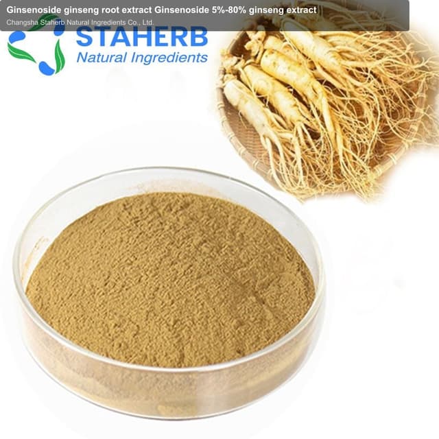 Ginsenoside ginseng root extract Ginsenoside 5%-80% ginseng extract